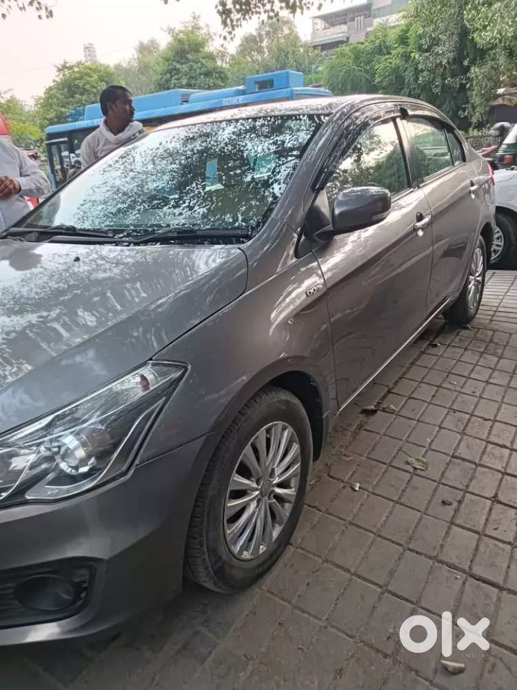 Maruti Suzuki Ciaz 2017 Second Owner