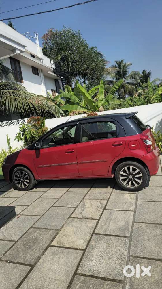 All Company Service& Well Maintained