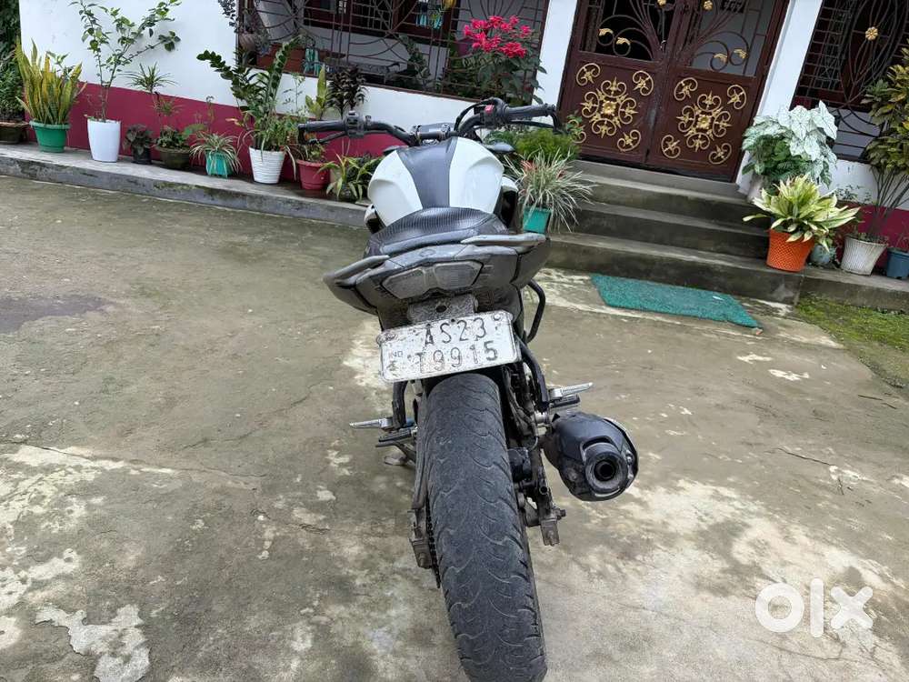 Kawasaki in Assam, Free classifieds in Assam | OLX