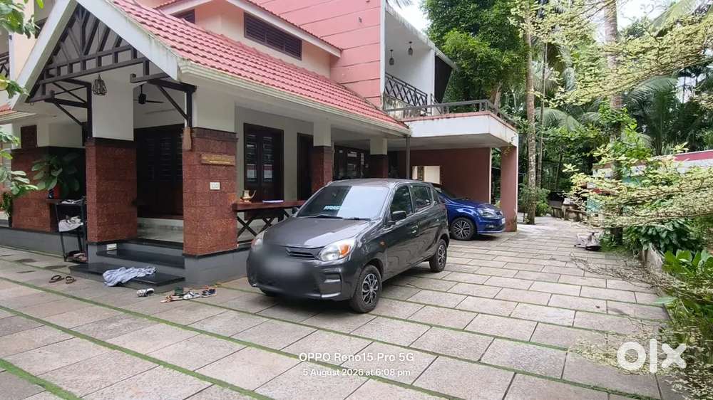 Maruti Alto 800 2019 Car