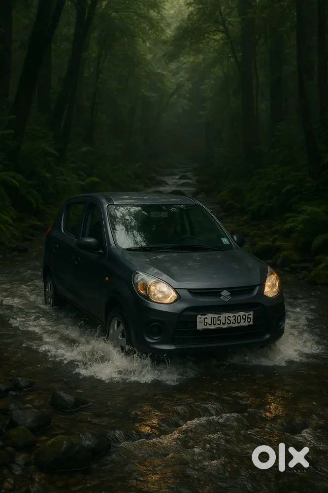 Maruti Suzuki Alto 800 2017