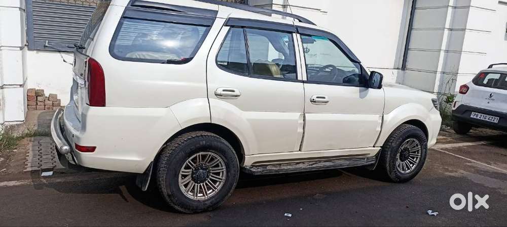 Safari Strom
