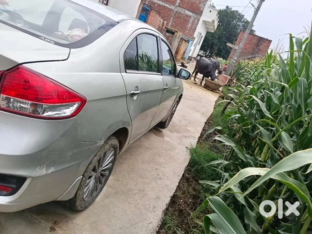 Maruti Ciaz Rs 2016