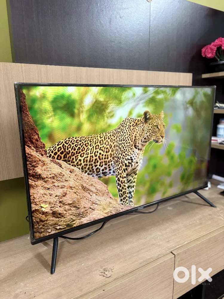 Haier 43inch smart frameless tv