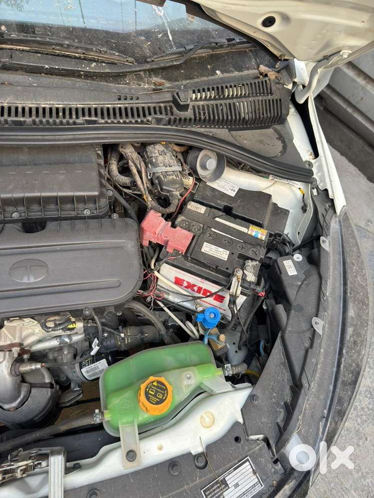 Tata Tiago 2024 Petrol 8000 Km Driven