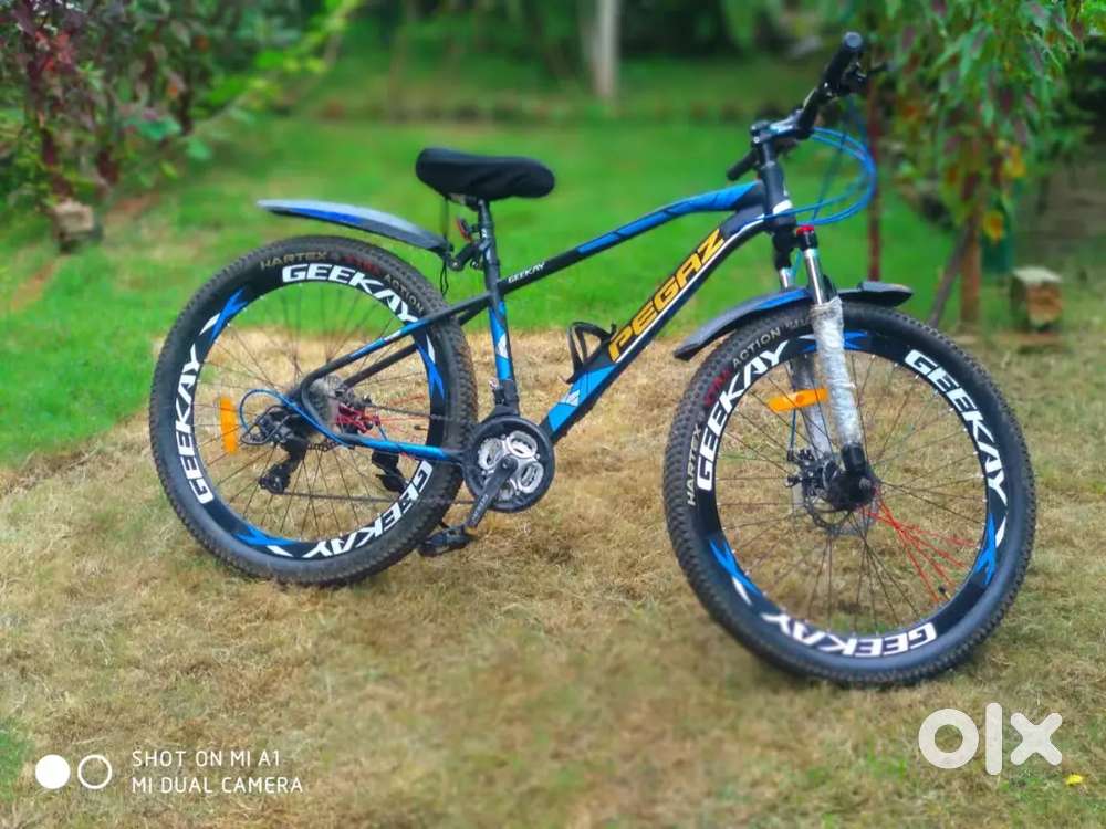 Both dist simeneo 21 gear Bicycles 1821193238