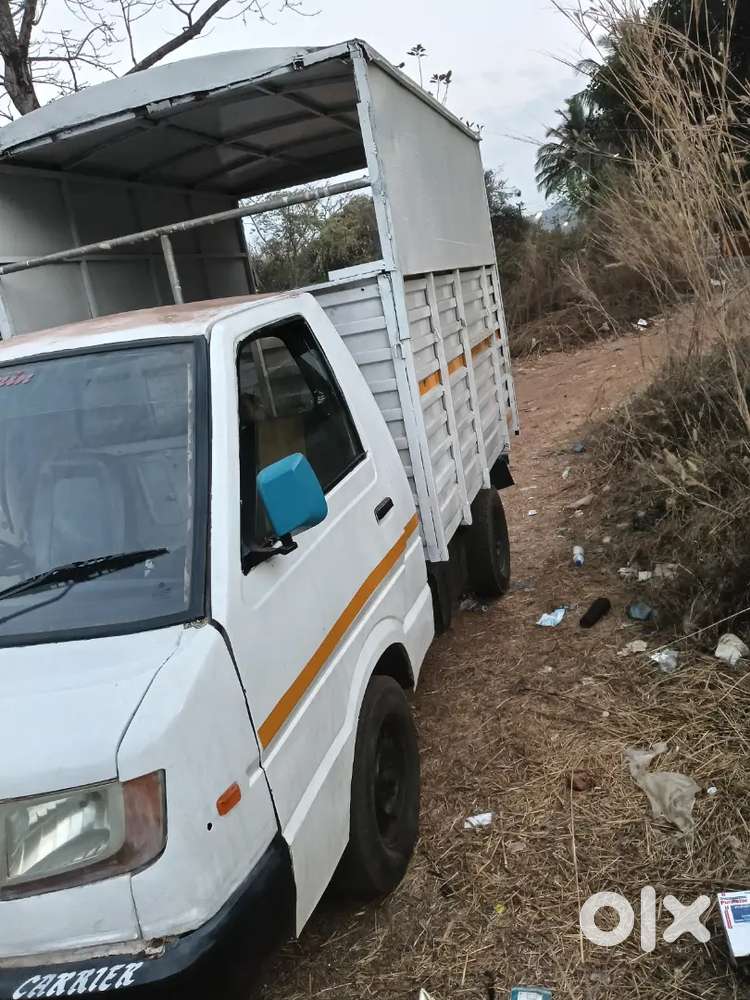 Insurance 5 Month Fitness 3 Month Update