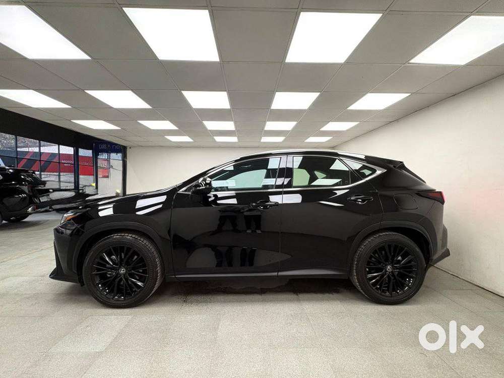 Lexus Nx 350h Exquisite, 2024, Petrol