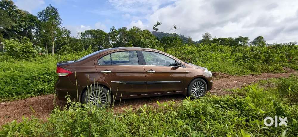 Maruti Suzuki Ciaz Diesel Manual 2016