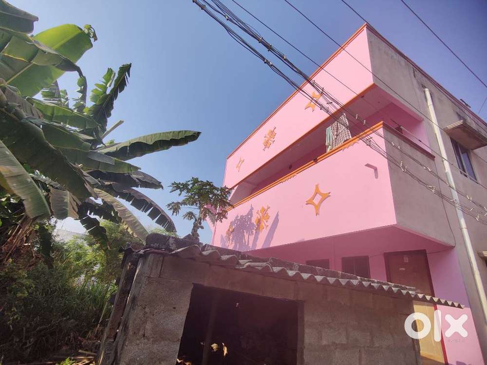 Bed room house for rent in first floor For Rent: Houses