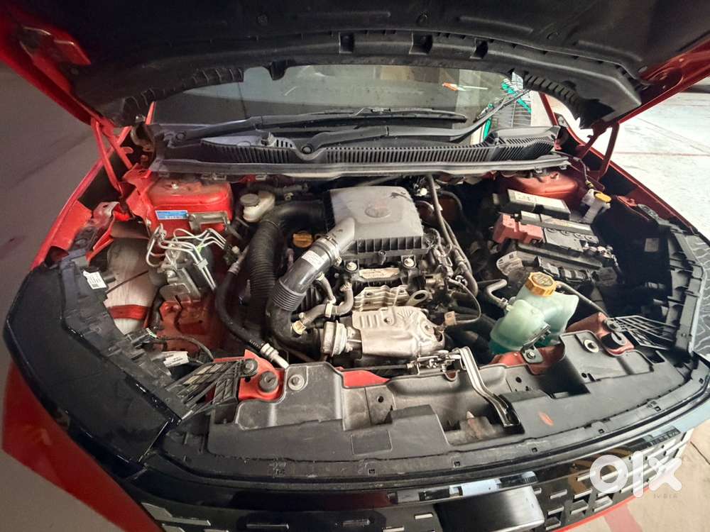 Tata Curvv 2025 Petrol Well Maintained
