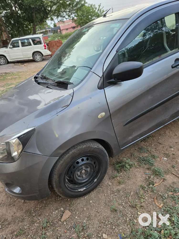 Celerio Sall