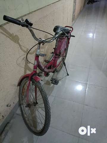 Ladybird breeze cycle hotsell