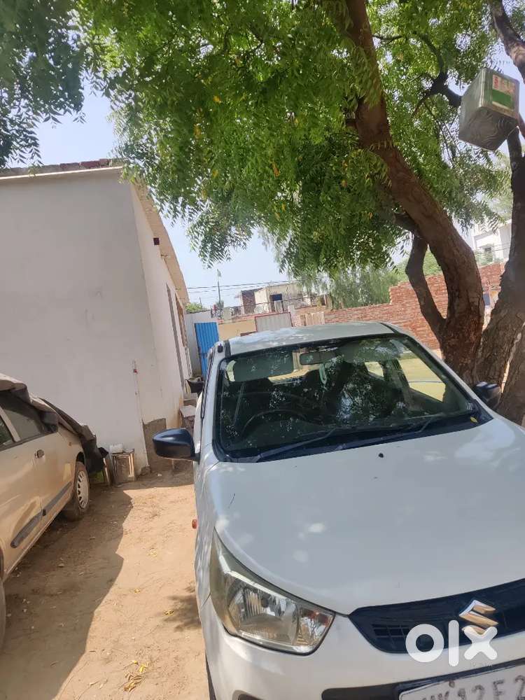 Maruti Suzuki Alto K10 2019 Petrol Well Maintained