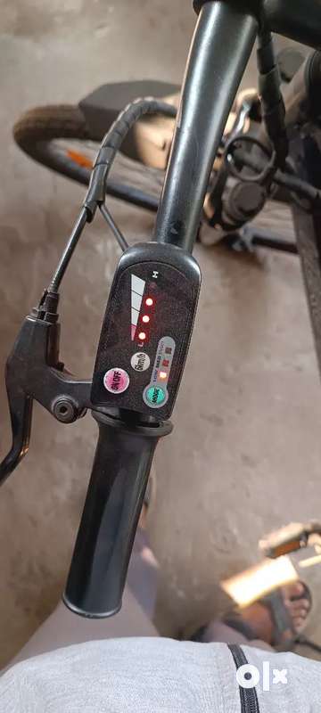 Lectro discount cycle battery