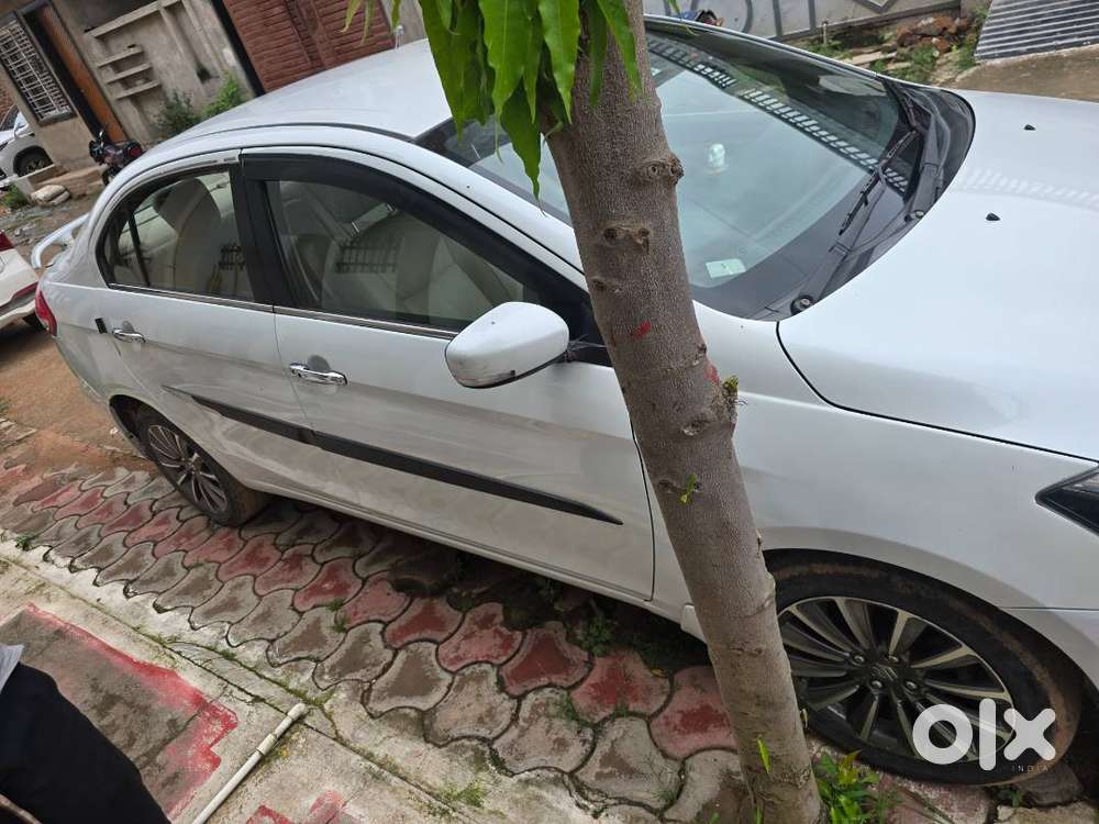 Maruti-suzuki Ciaz 2019 Alpha