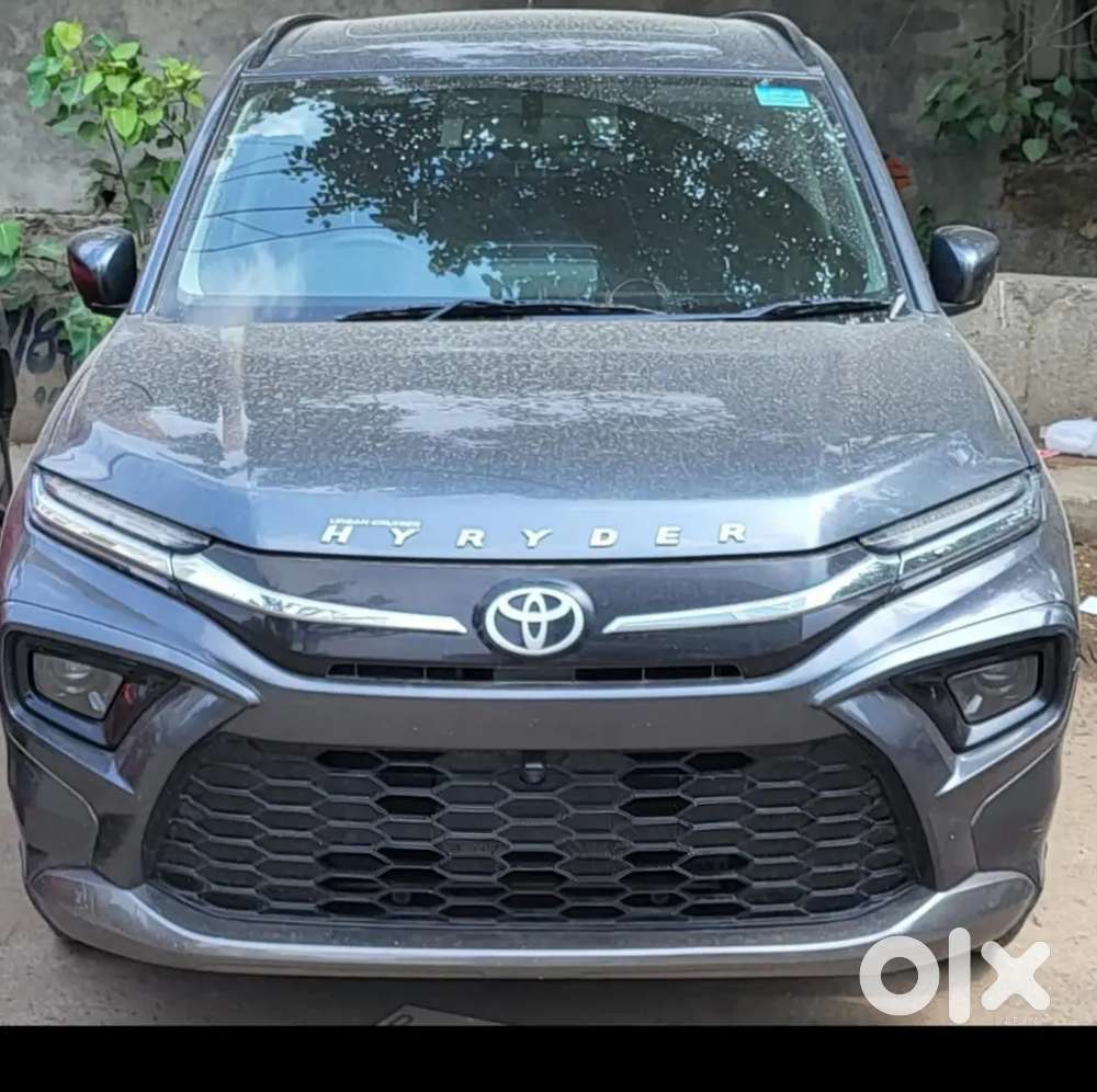 November 2024 Registration