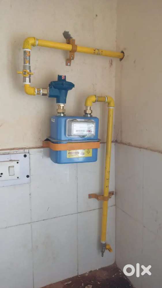 1BHK Flat for Rent in Sector 13