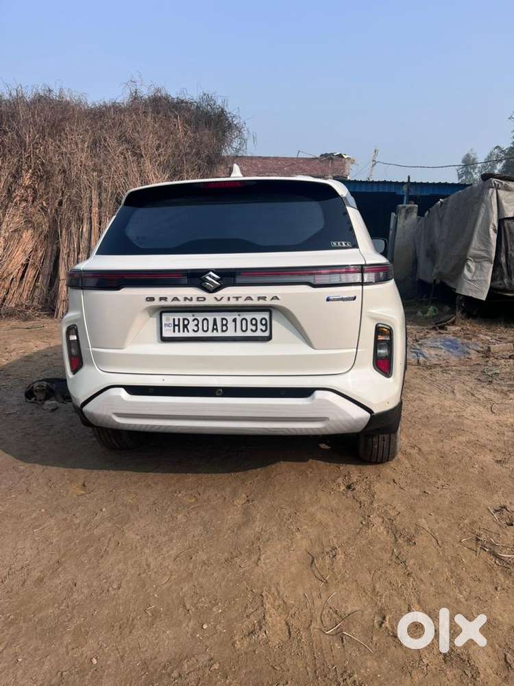 Maruti Suzuki Petrol 2024