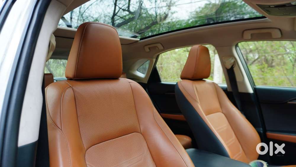 Lexus Nx Lexus-nx-300h-luxury, 2020, Petrol