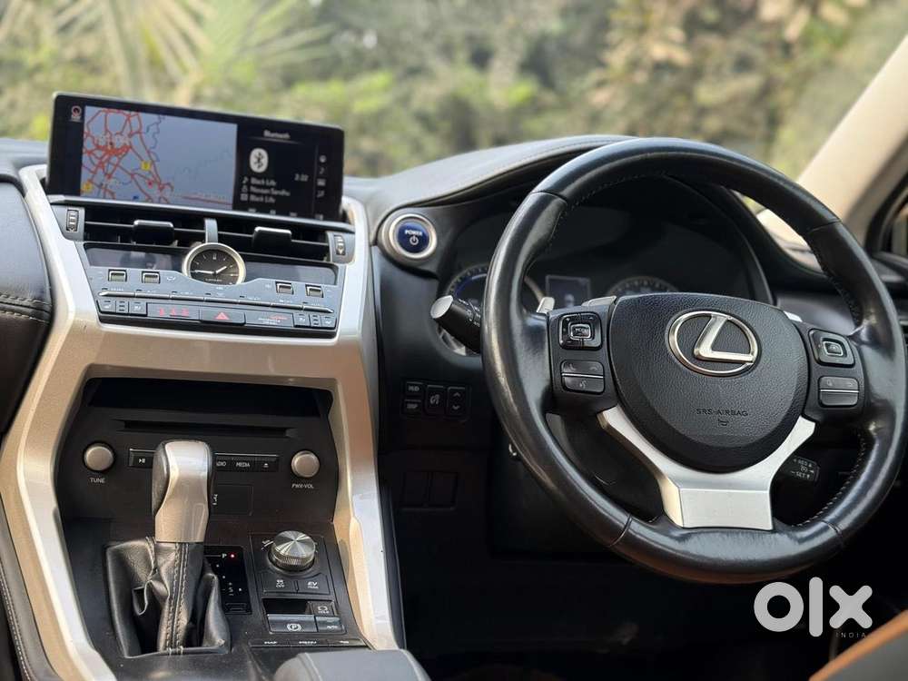 Lexus Nx Lexus-nx-300h-luxury, 2019, Petrol