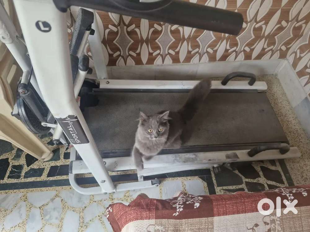 Treadmil sportel no used