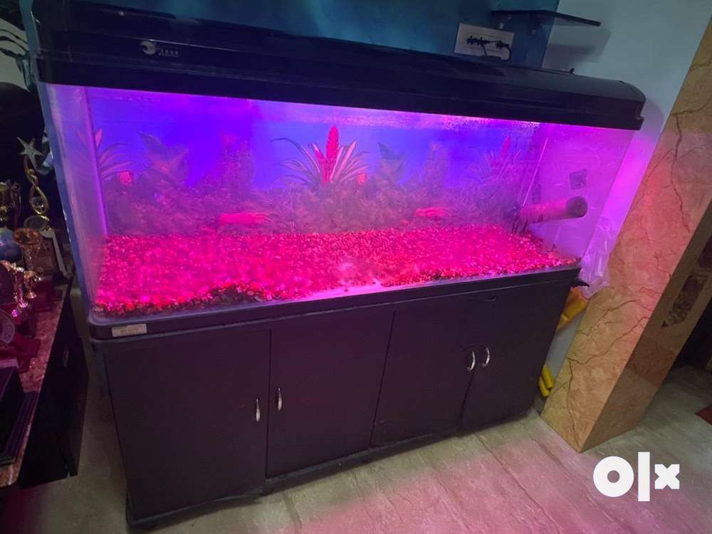 4 feet 2024 imported fish tank