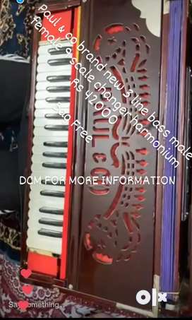 Olx second hand harmonium sales