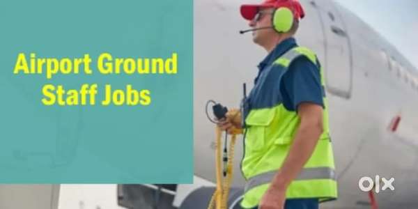 Vacancy in indigo Airlines urgent hiring apply
