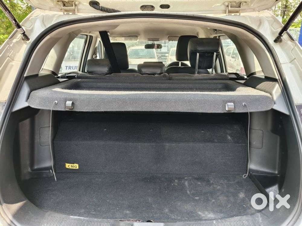 Maruti Suzuki Grand Vitara 1.5 Delta Cng, 2024, Cng & Hybrids