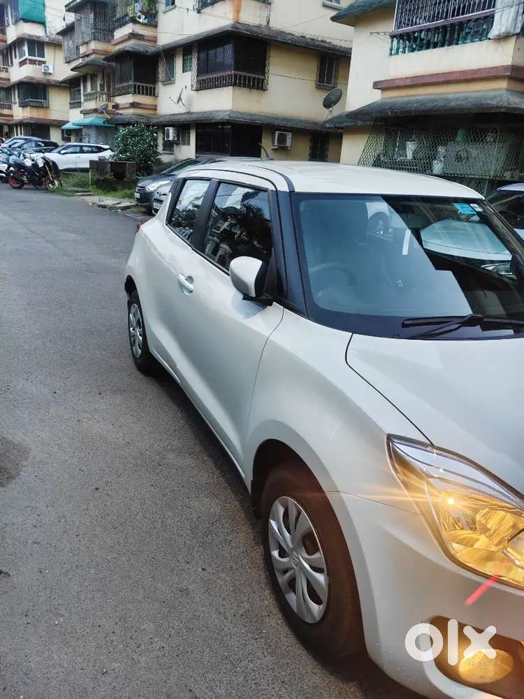 Swift 2024 (2 Year Old)