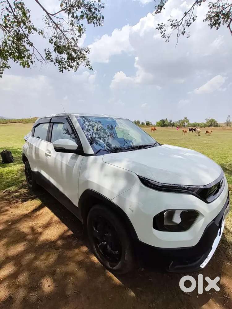 Tata Punch 2024 Petrol 16860 Km Driven