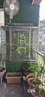 SS STEEL CAGE FOR SALE