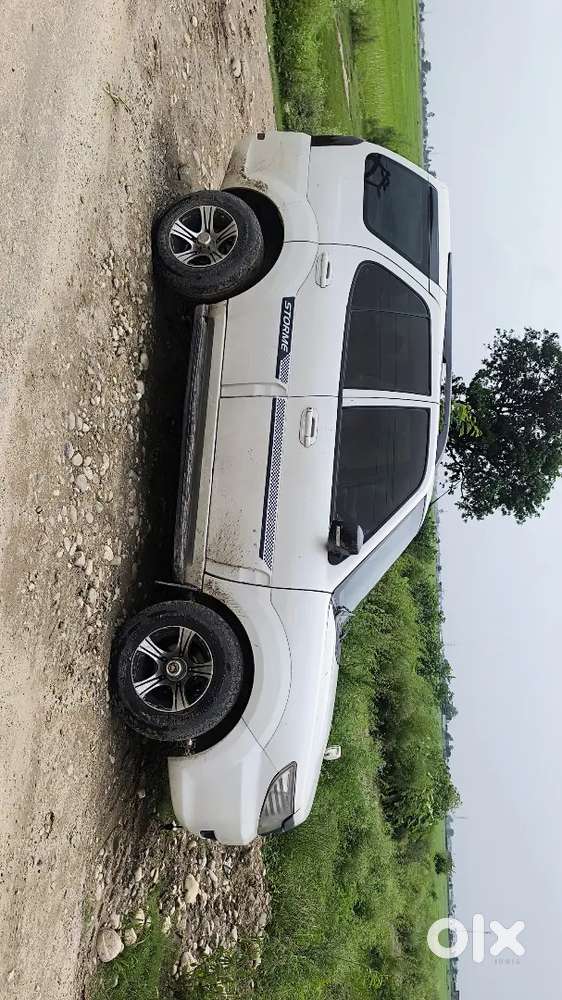 Selly My Safari Storme