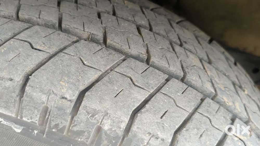 Morbi Uma Taauship Jova Madse