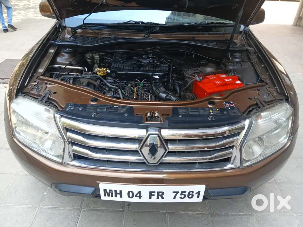 Renault Duster Rxl Optional