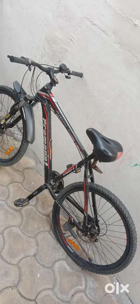 Promount cheap cycle price