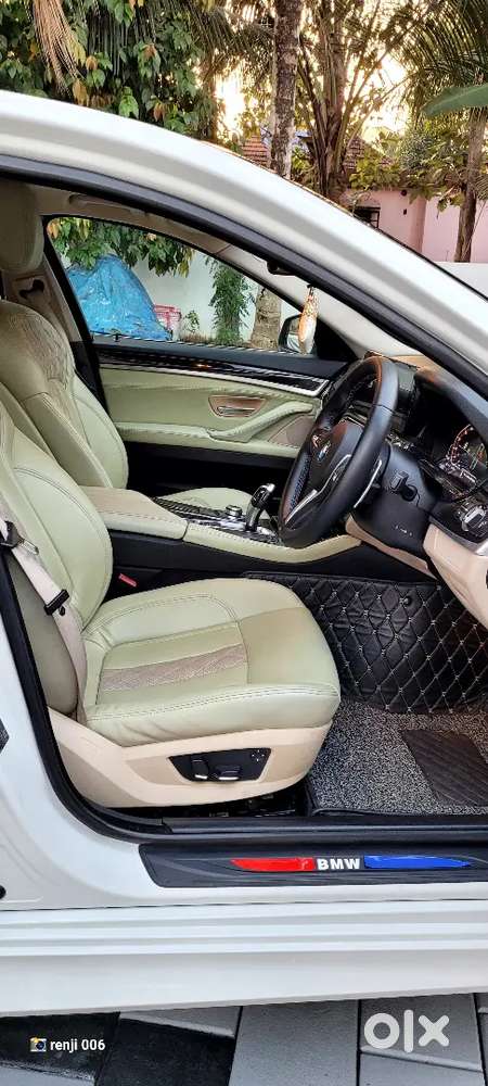 Bmw 5 Series Luxury 2011