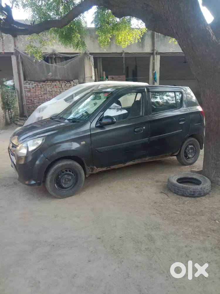 Maruti Suzuki Alto 800 2014 Cng & Hybrids 43000 Km Driven