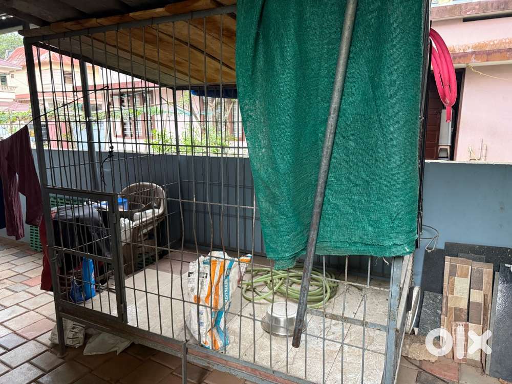 Dog cage for large dogs