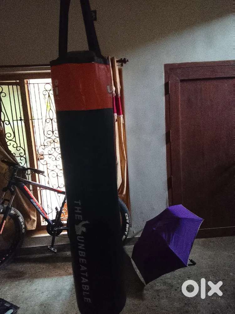 Fighter bag