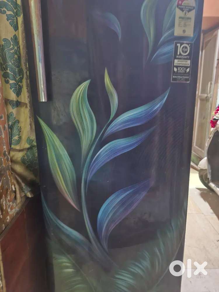 Single door big fridge