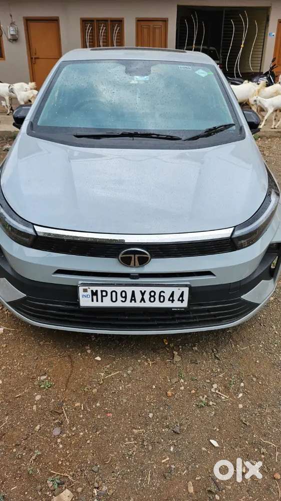 Tata Altroz Crtv S 2025 I-cng Mt Urgent Sale Need Money Fix Price