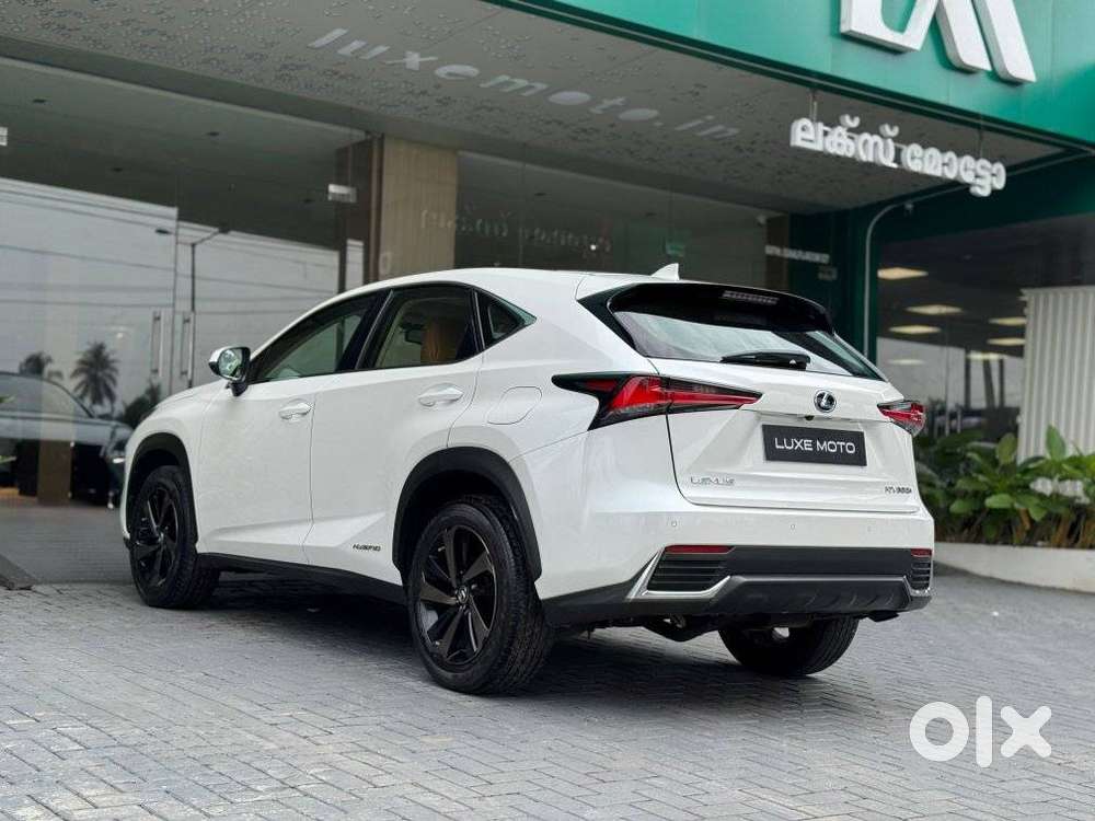 Lexus Nx Lexus-nx-300h-luxury, 2020, Petrol