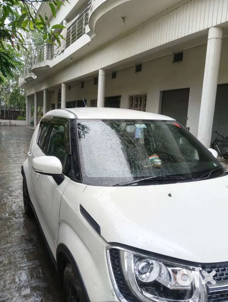 Ignis 1.2 Alpha 2017 Petrol Manual