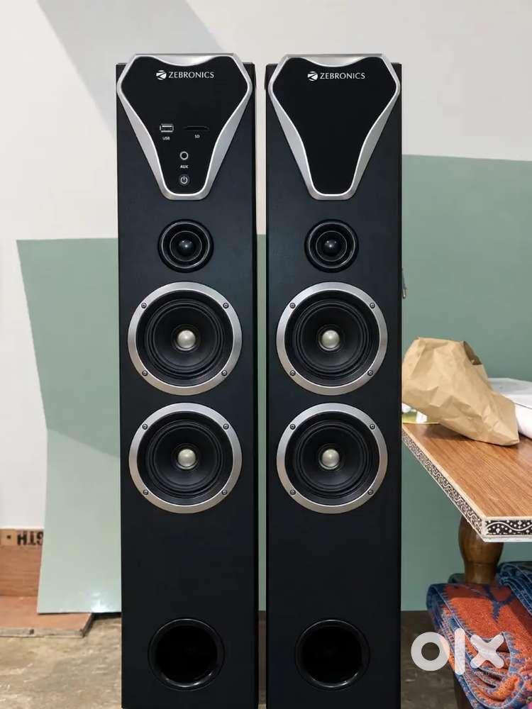 Zebronics Tower speaker