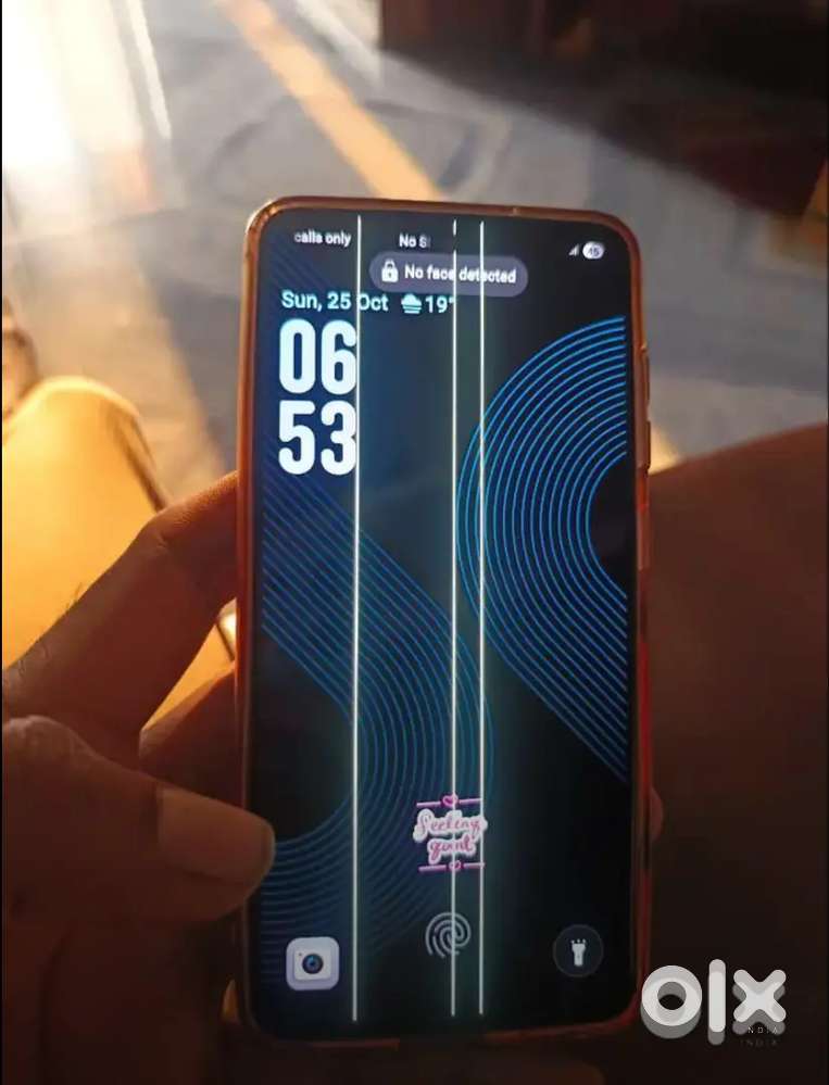 S21 FE display problem only