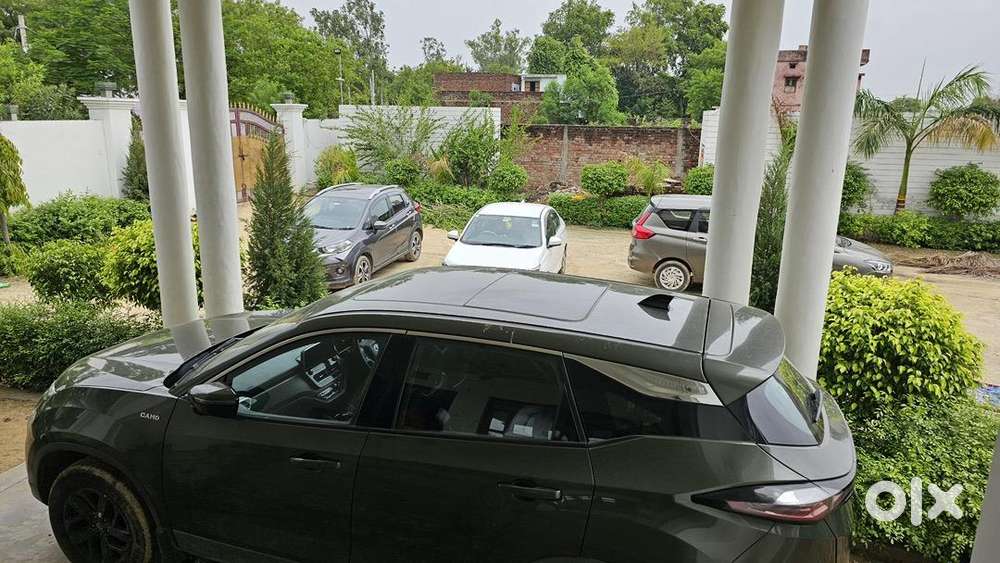 Less Driven Top Model Harrier Camouflage Edition