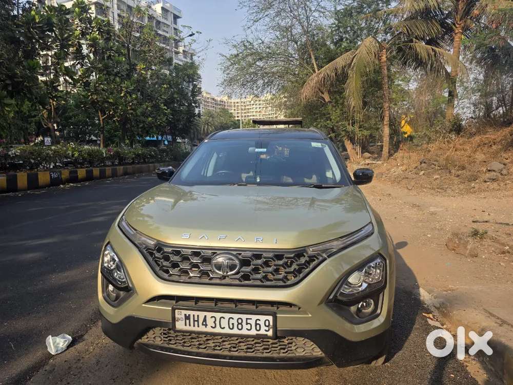 Showroom Condition Safari Limited Edition Top Model