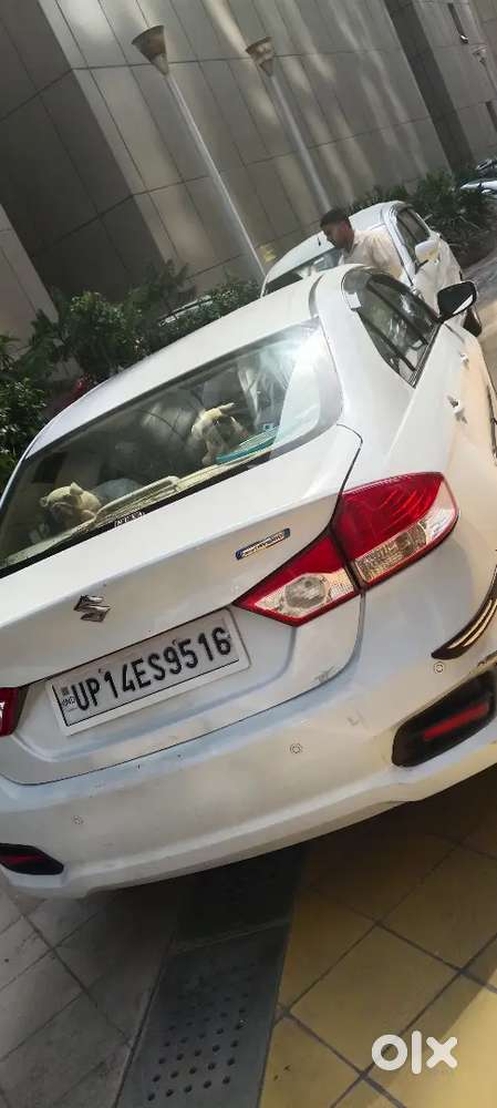 Maruti Suzuki Ciaz S 2021 Petrol 450000 Km Driven